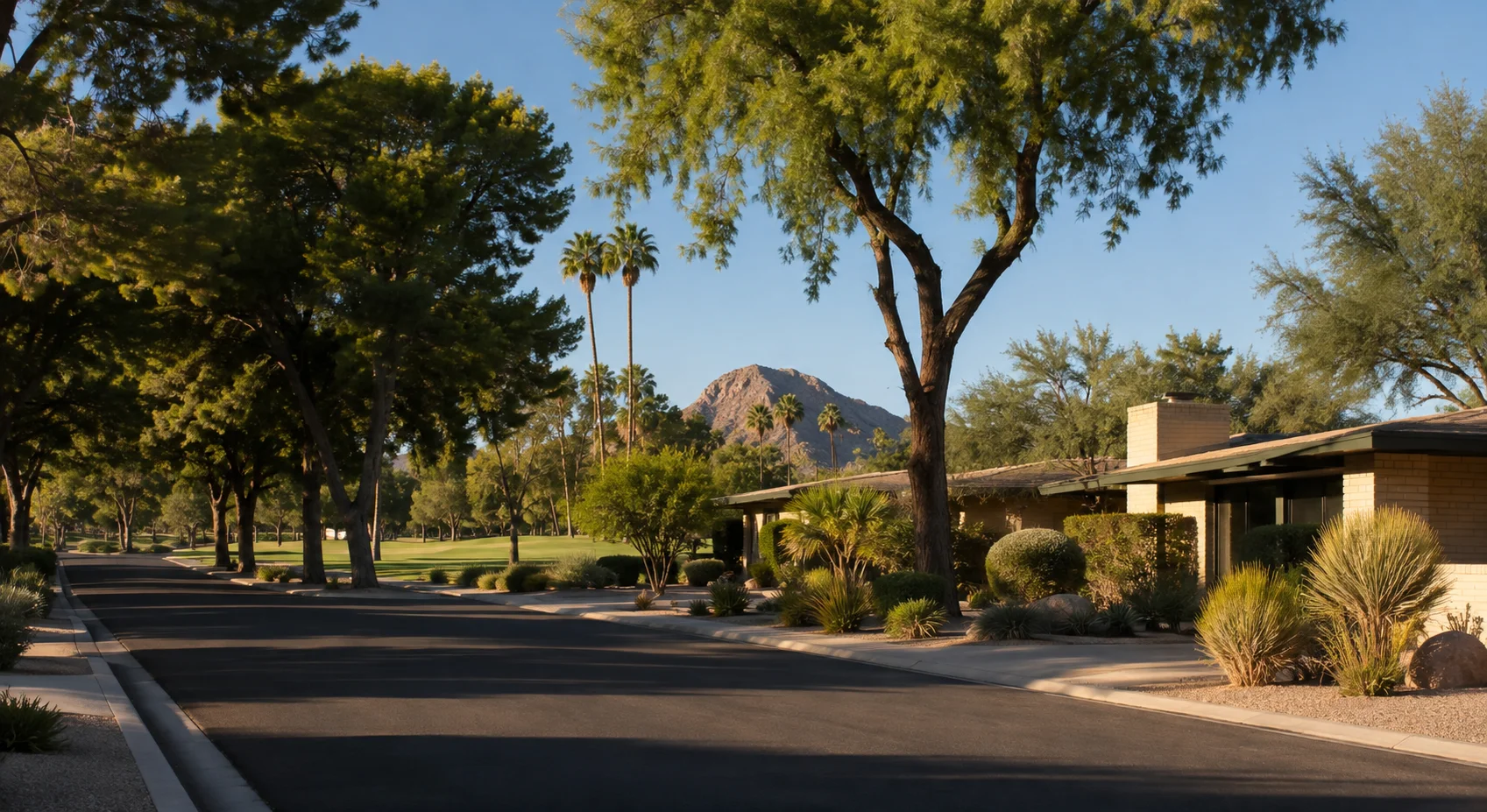 Shalimar Tempe neighborhood with mature trees and established homes